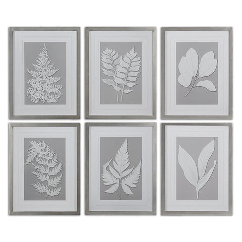 Uttermost Moonlight Ferns Framed Art, S/6 41394 - BathVault