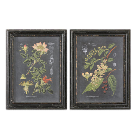 Uttermost Midnight Botanicals Wall Art S/2 56053 - BathVault