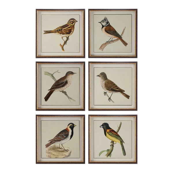Uttermost Spring Soldiers Bird Prints, S/6 33627 - BathVault