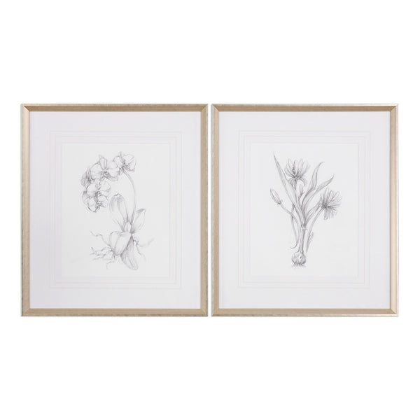 Uttermost Botanical Sketches Framed Prints S/2 33649 - BathVault