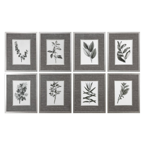 Uttermost Sepia Gray Leaves Prints S/8 33658 - BathVault