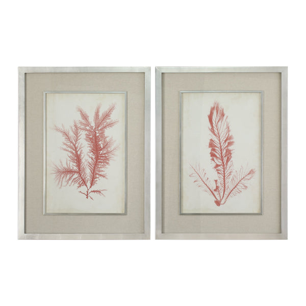 Uttermost Coral Sea Feathers Prints S/2 41578 - BathVault